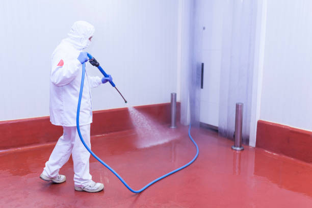 Best Graffiti Removal  in Macarthur, WV