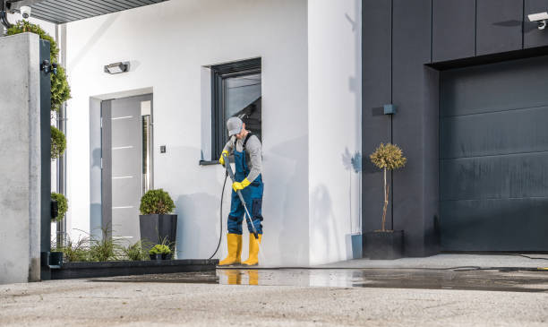 Best Paint Preparation  in Macarthur, WV